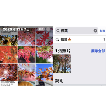 【手機專知】iPhone照片管理更便捷！學會增加文字描述和關鍵字